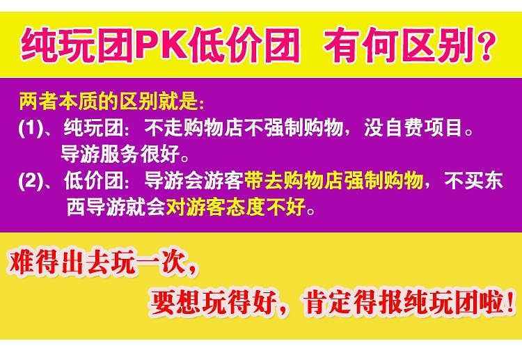 2004澳门天天开好彩大全,澳门天天开好彩背后的真相，揭示犯罪现象的警示录