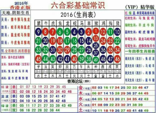 2024十二生肖49个码,揭秘十二生肖与数字码，探寻2024年49个生肖码的独特魅力