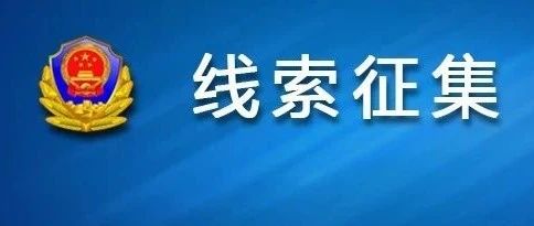 澳门正版资料免费大全新闻——揭示违法犯罪问题,澳门正版资料免费大全新闻——揭示违法犯罪问题的深度探讨