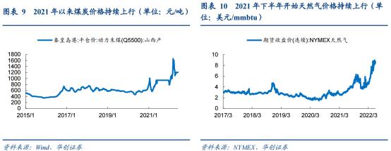 2024新澳门原料免费大全,澳门原料市场的新篇章，2024新澳门原料免费大全展望与探索