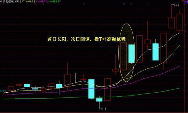 新澳门开奖结果+开奖结果,新澳门开奖结果——揭开开奖的神秘面纱