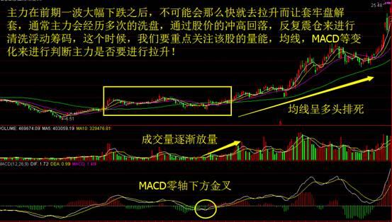 管家婆三肖一码一定中特,揭秘管家婆三肖一码一定中特，真相与风险并存