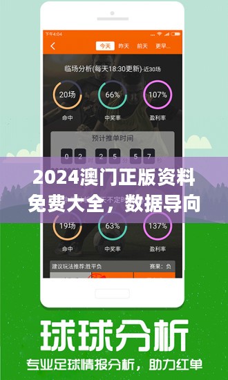 2024澳门精准正版图库,澳门正版图库，探索2024年的精准视界