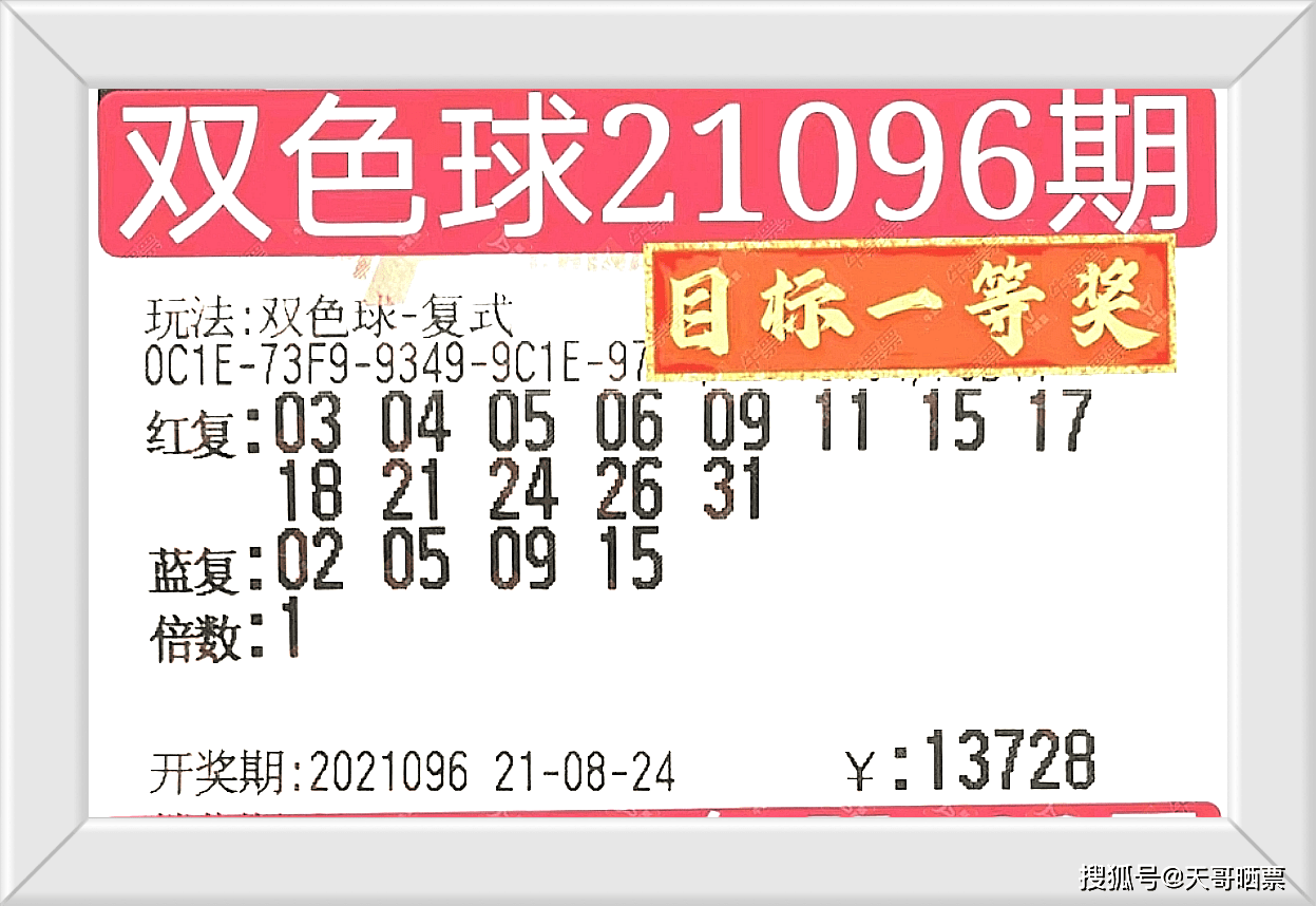 2025澳门今晚开奖号码香港记录,探索彩票奥秘，澳门与香港彩票开奖记录展望（2025年澳门今晚开奖号码香港记录）