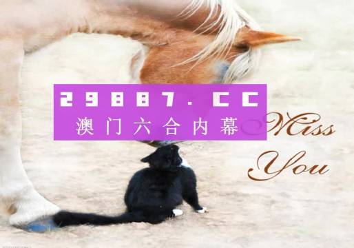 新澳门4949正版大全,新澳门4949正版大全，探索与揭秘