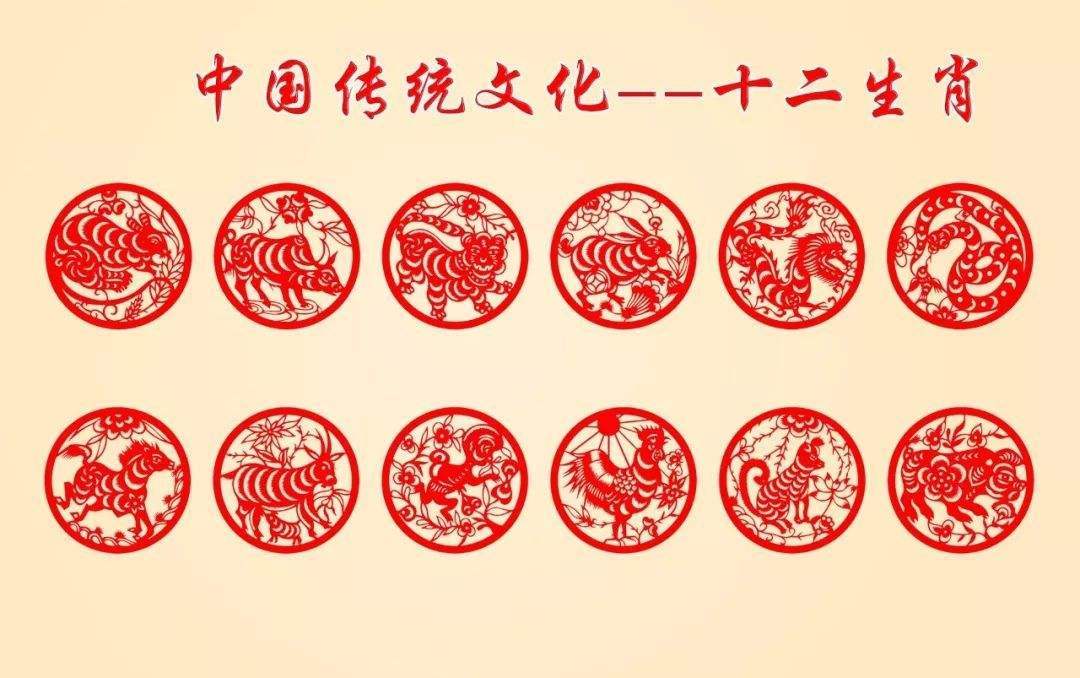 今晚9点30开什么生肖明,今晚9点30开什么生肖明，一场文化与科技的奇妙碰撞