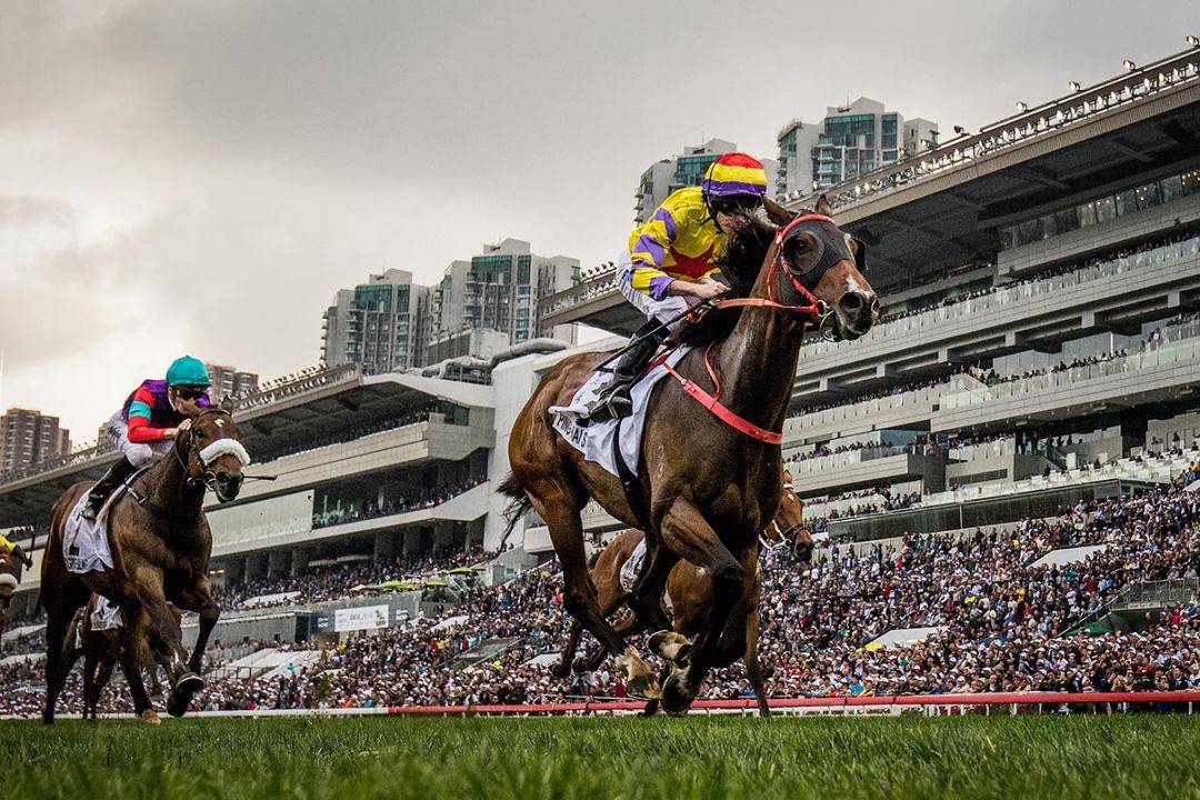 香港马买马网站www,香港马买马网站www——探索赛马文化的独特魅力