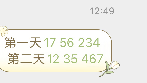 新澳门今晚开特马结果查询025期 05-47-31-33-19-02T：23,新澳门今晚开特马结果查询，探索与期待第025期